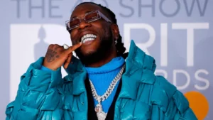 Read more about the article Burna Boy – His Career