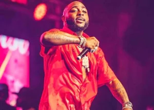 Read more about the article Davido’s concert at TBS