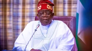 Read more about the article Current Pains Necessary, Says Tinubu, Govs Preach Unity