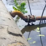 The NNPCL has discovered 162 illicit pipeline connections in the Niger Delta region.