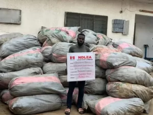 Read more about the article NDLEA Intercepts Vehicles Carrying Cannabis In Noodles Packs, Arrests Church Officials,2 Ladies