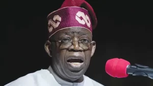 Read more about the article Niger Republic: Tinubu Calls for Additional Sanctions on Individuals and Entities