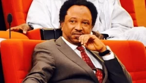 Read more about the article Subsidy removal: Palliatives not enough to tackle poverty says Shehu Sani