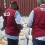 “Edo State sees the arrest of 30 individuals suspected of drug dealing by the NDLEA.”