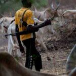 Suspected Herdsmen Kill Farmer At Wedding Ceremony In Nasarawa Community