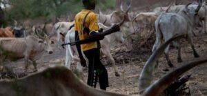 Read more about the article Suspected Herdsmen Kill Farmer At Wedding Ceremony In Nasarawa Community