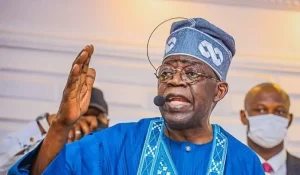 Read more about the article Tinubu must reform public sector to drive development