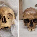 Man Confesses Skull Bath