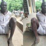 Individual apprehended with a recently deceased human body in Ogun state.