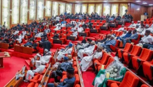 Read more about the article The Senate has sent the approved roster of 45 ministerial nominees to the presidency.