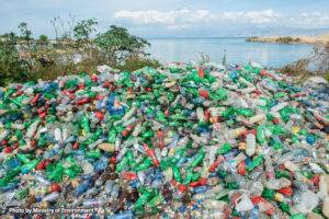 Read more about the article “Plastic pollution constitutes a nationwide emergency.”