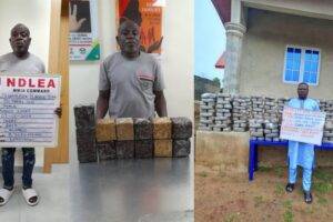 Read more about the article The NDLEA seizes 4,000 kilograms of illegal drugs and apprehends 12 suspects.