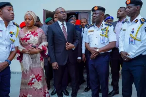 Read more about the article FG mulls introduction of private firefighters