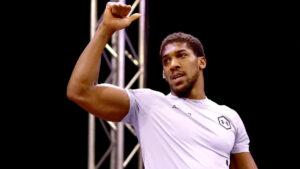 Read more about the article Joshua told to chase titles not Wilder fight