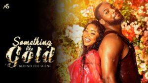 Read more about the article “‘Something Like Gold’ kicks off its run at the Nigerian Box Office, earning ₦11 million.”